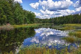 See contacts, phone numbers, directions, hours and more for all business categories in shipshewana, in. Tweetspeak Poetry