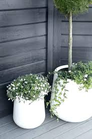 Best Ideas About White Outdoor Planters Save Or Pin Outside Plant Pots Outdoor Flower Pots White Now Flower Pots Outdoor Outdoor Planters White Flower Pot