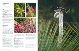 Don't forget to have a birdbath with running/dripping water. Birdscaping Australian Gardens Using Native Plants To Attract Birds To Your Garden George Adams