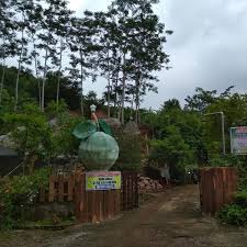 Add photo for gunung klotok. Pagi Pagi Pesta Buah Di Lembah Tretes Kediri Regional Liputan6 Com