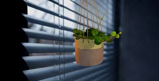 Or you can use your own plant container and add a holder. The 7 Best Hanging Plants For Low Light Environments