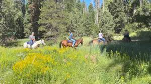 Beautiful day for a ride at Dinkey...