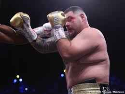Canelo reacts after paul goes the distance against mayweather. What Now For Andy Ruiz Boxing News