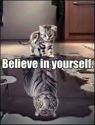 Believe In Yourself Animals Cute Animals Pets