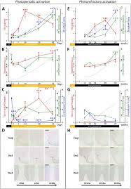 Librivox recording of fabeln by magnus gottfried lichtwer. Downregulation Of Deiodinase 3 Is The Earliest Event In Photoperiodic And Photorefractory Activation Of The Gonadotropic Axis In Seasonal Hamsters Scientific Reports