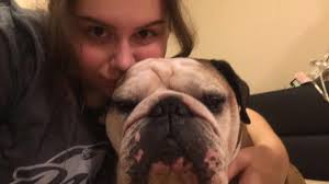 My little Baby crossed over the rainbow 🌈 bridge this morning..😢💔