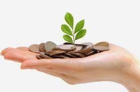 Capital semilla is a fintech company for development on the primary sector. El Capital Intelectual Es El Conjunto De Activos Intangibles Mas Importantes De Las Empresas Basado Capital Semilla Ganar Dinero Por Internet Crear Un Negocio