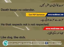 English To Urdu Hindi English To Hindi Urdu Sentences Vocabulary Urdu To English Sentence English Vocabulary Words Learn English Words English Vocabulary