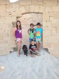 Fundraiser by Mandi J Nelson : Rising from the ashes