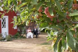 This location serves 29,528 poulsbo residents with a median income of $71,952. Farm Kitchen 24309 Port Gamble Rd Ne Poulsbo Wa Wedding Chapels Mapquest