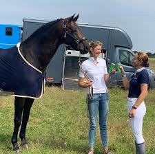 We did not find results for: Hof Sosath For Dance Und Ninja Auf Platz 6 In Der Facebook