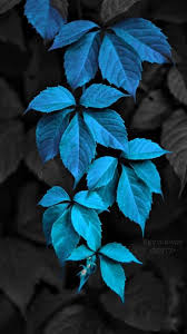 #wallpapers #digitalart #photography #creativecommunity #adobe bit.ly/3tulw76. Free Wallpapers Zedge Green Nature Wallpaper Nature Wallpaper 8k Wallpaper Nature
