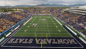 Football Vs Norfolk State Stripe The Stadium Msu Event