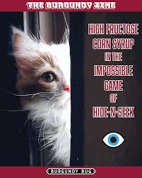 It's pure corn syrup, it will give him a calorie boost if he is not eating though. High Fructose Corn Syrup In The Impossible Game Of Hide N Seek The Burgundy Zine