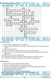 кроссворд по информатике 8 класс с ответами и вопросами Kontrolnye Raboty Po Matematike 6 Klass Dorofeev Peterson Chast Flashcards German English Demolition Derby