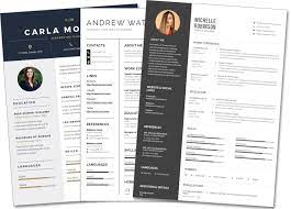 Il existe trois principaux types de cv. Resume Example Create Your Resume Using Our Pro Templates