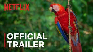 While there's plenty more content arriving on netflix regionally, this list covers all of the netflix originals arriving in april 2021. Here S What S Coming To Netflix In April 2021 And What S Leaving Marketwatch