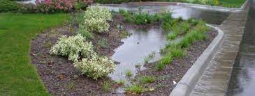 A rain garden is designed so that the water is sent into gardens where it waters your plants or is captured in a holding spot where it keep your rain garden at least 10 feet from your home. How And Why To Build A Rain Garden Umn Extension