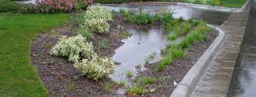 Since 2003, rain garden network has worked with homeowners, environmental organizations and municipalities by giving presentations and demonstrating the many benefits of this simple, proven and inexpensive solution to local stormwater issues. How And Why To Build A Rain Garden Umn Extension