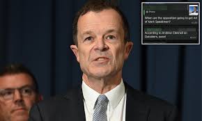 Bombshell leaked Liberal group chat reveals party leader's days could be  numbered