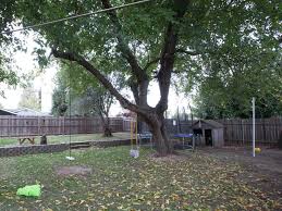Backyard tv war während der 20. Eight Backyard Makeovers From Diy Network S Yard Crashers Yard Crashers Diy