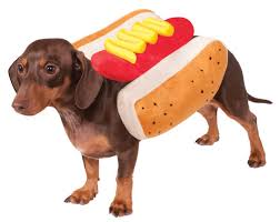 Bj and older lydia as dog falling in love. Hot Diggity Dog Pet Costume Pet Costumes