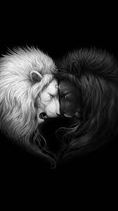 Amoled Dark Iphone Wallpaper Lion Wallpaper Dark Wallpaper Lion Art