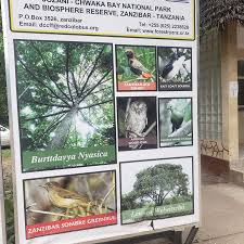 Image result for Burttdavya