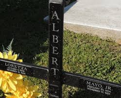 Mayo Albert Jr. (1954-1954)