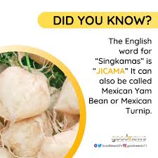 It's the root of a plant that produces beans similar to lima beans. Facebook