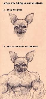 Ha Too Funny And That Is Exactly How My Little Boomer Feels Too Funny Pictures To Draw Chihuahua Drawing Funny Dog Pictures