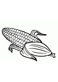Corn Stalk Coloring Page Coloring Pages In 2020 Coloring Pages Giraffe Coloring Pages Corn Stalks
