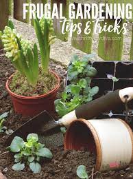 Maybe you would like to learn more about one of these? 5 Free And Cheap Gardening Supplies
