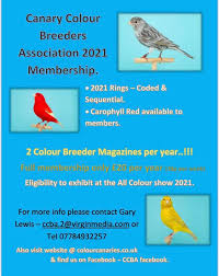 Canary Colour Breeders Association Ccba Posts Facebook