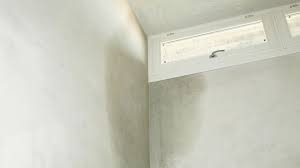 Maybe you would like to learn more about one of these? Que Faire Avec Un Mur Humide Cote Maison