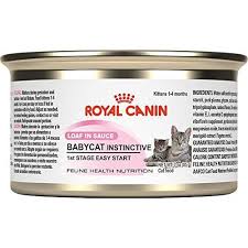 Purina offers an array of cat food formulas designed specifically for your cats' unique needs and preferences. Read Reviews And Buy The Best Wet Foods For Your Kitten From Top Producers Including Purina Royal Canin And More C In 2020 Kitten Food Canned Cat Food Feline Health