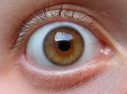 Hazel Eye Brown Eyes Aesthetic Hazel Eyes Aesthetic Eyes