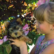 Community Foundation oF orange and Sullivan