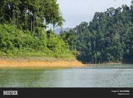 Bukit larut or maxwell hill, is peninsular malaysia's oldest hill station, and named after william george maxwell who was the british assistant resident in perak. Beautiful Nature Image Photo Free Trial Bigstock
