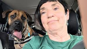 Vet run this morning with Sunny 🌞 and Carmen 🤎 🐾 Carmen had first vacs  and a health check and Sunny had a health check and his anal glands  expressed 🫣 he