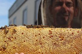 I'm co-producing a project with my friend Travis Hadley called "Fragile  Like Concrete." It is a story about power of love, and the many faces of it.