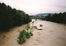 Image result
