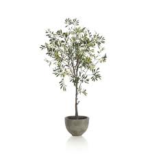 Potted Olive Tree Crate Barrel Eclectic Decorative Object Faux Olive Tree Olive Tree Potted Olive Tree