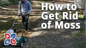 But you likely have no idea how to go about caring for a lawn of your own. Do My Own Lawn Care Series Domyown Com