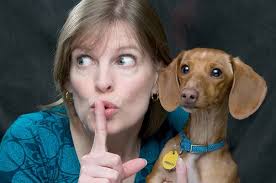 Photographic Studio Work (no 30/60 Limit)