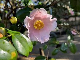 相手 の 幸せ を 願う 心理