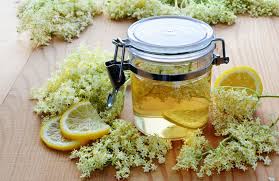 I fiori di sambuco si trovano, a seconda dell'altitudine, da aprile a luglio. Sciroppo Di Sambuco La Ricetta Cure Naturali It