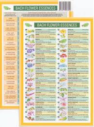 Bach Flower Remedies Mini Chart