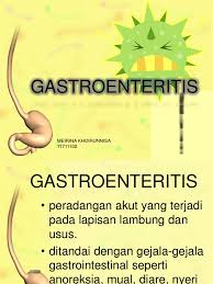 Diagnosis, assessment and management in children younger than 5 years. Ppt Gastroenteritis 4 3