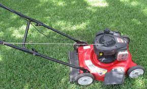 $299.99 299.99 $ buy lawn mower, get trimmer or battery free online only! Mtd 20 In Manual Push Lawn Mower For Sale Ronmowers